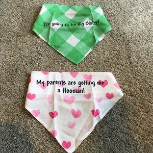Pet pregnancy announcement bandannas